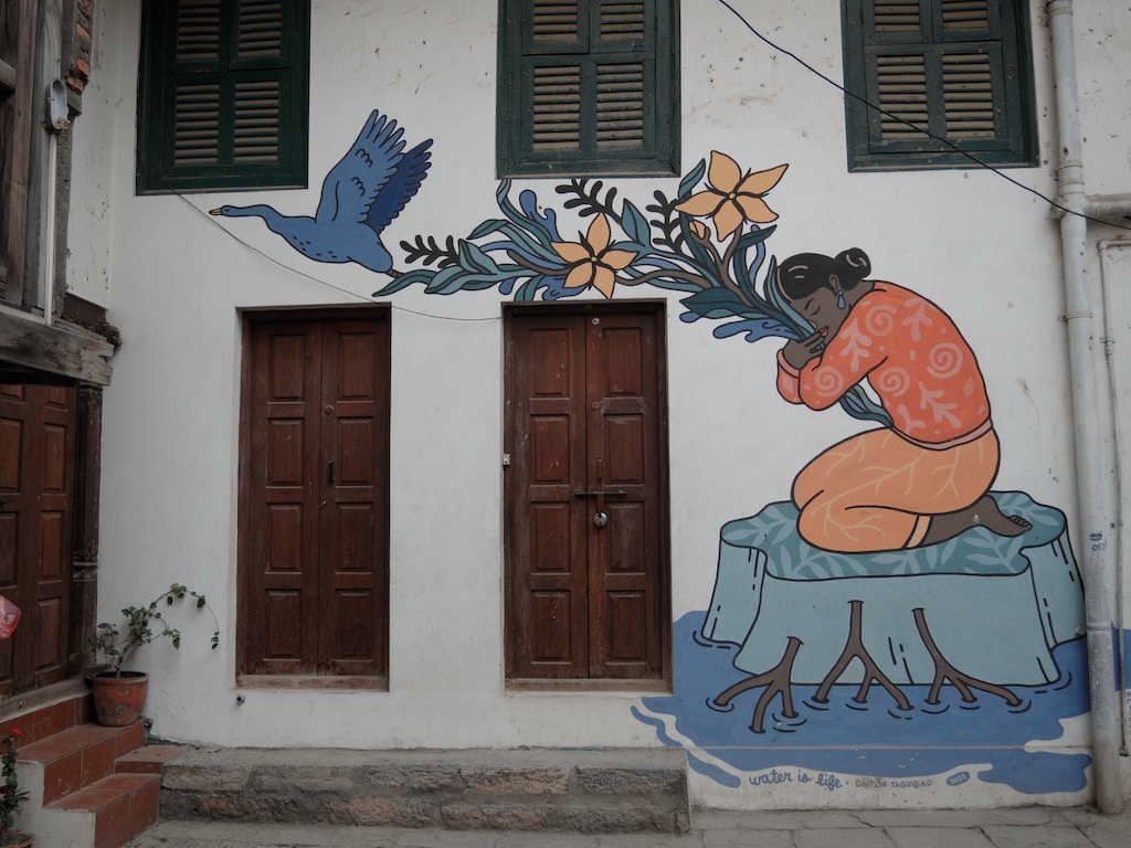 Choose wisely: woman grasping flowers with emerging goose